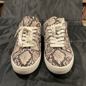 Steve Madden Women’s Snake Print Sneakers